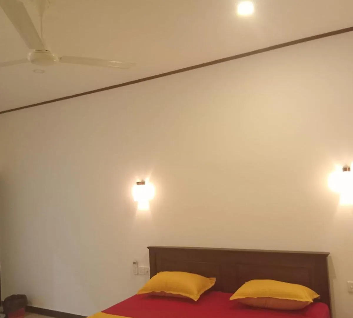 Fionn'S Coconut Beach House Negombo Sri Lanka